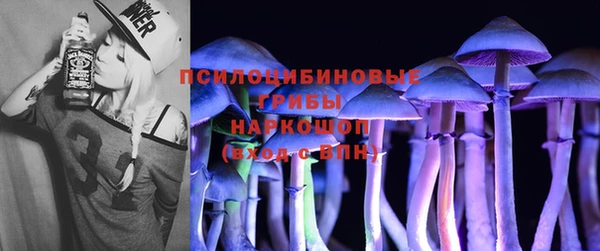 эйфоретик Богородск