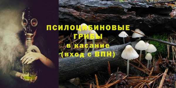 эйфоретик Богородск