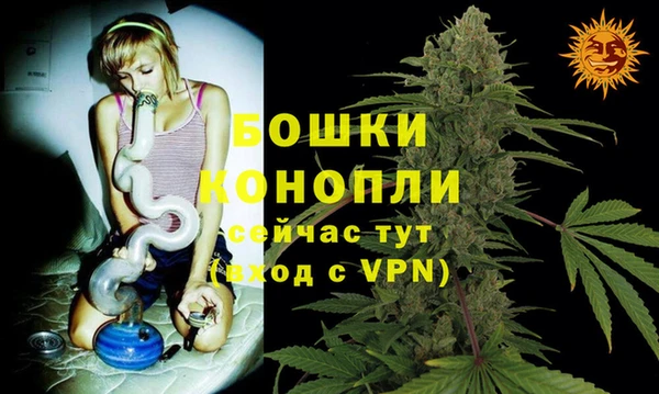 твердый Богородицк