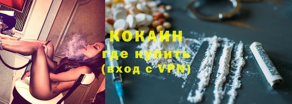 твердый Богородицк
