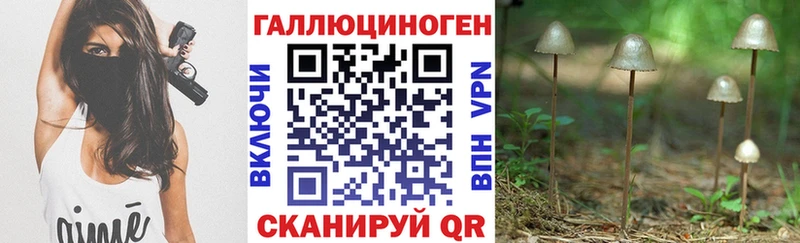 Псилоцибиновые грибы Cubensis  цены наркотик  darknet телеграм  Щёкино 
